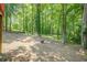 Expansive wooded backyard, offering privacy and space for outdoor enjoyment, with a natural landscape at 2563 Creek Ter, Snellville, GA 30078