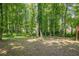 Large, wooded backyard with mature trees and a peaceful, natural setting. Perfect for outdoor activities and relaxation at 2563 Creek Ter, Snellville, GA 30078