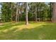 Expansive grassy backyard with tall trees, green grass, and an arch in the background at 64 Harbour Lake Dr, Fayetteville, GA 30215