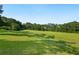 Expansive green field surrounded by trees and clear blue sky at 64 Harbour Lake Dr, Fayetteville, GA 30215