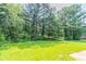 Spacious grassy yard with mature trees at 9542 Canvasback Ct, Jonesboro, GA 30238
