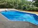 Inviting in-ground pool with diving board, set in a serene backyard at 3243 Northbrook Dr, Atlanta, GA 30341