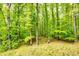 Tranquil wooded backyard with lush greenery and mature trees creates a private nature retreat at 120 Majesty Ln, Fayetteville, GA 30215