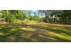 Large, green backyard offers plenty of space for recreation and outdoor activities at 41 Birch Ct, Mcdonough, GA 30253