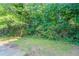 This backyard is full of lush green trees and space for relaxing outdoors at 7384 Birch Hollow Pl, Douglasville, GA 30134