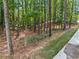 Backyard view showcasing mature trees providing a serene and private setting at 1126 Wedgefield Sw Dr, Marietta, GA 30064