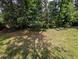 Large backyard area filled with lush greenery and mature trees at 5882 Grandview Nw Ct, Acworth, GA 30101