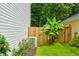 Small backyard space with a banana tree, privacy fence, and grass at 7006 Mahonia Place, Stonecrest, GA 30038