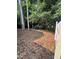 Wooded backyard with a mix of mature trees and natural foliage, providing a serene setting at 354 Dublin Way, Lawrenceville, GA 30044