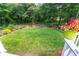 Beautiful backyard with lush green lawn and wooded perimeter, offering privacy and a connection with nature at 2050 Lyda Ln, Loganville, GA 30052