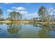 Scenic view of a tranquil pond reflecting the sky and surrounding trees, showcasing the community's natural beauty at 441 Spring View Dr, Woodstock, GA 30188