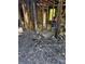 Interior with extensive fire damage, showing burnt walls, debris-covered floor, and structural elements at 447 Martindale Ct, Stone Mountain, GA 30088