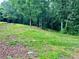 Expansive grassy yard with mature trees and a gentle slope offers a picturesque natural setting at 776 Green Dr, Canton, GA 30114