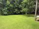 Lush green backyard with mature trees providing ample shade at 4221 Riverlake Way, Snellville, GA 30039