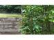 A thriving berry bush with ripe berries next to a wooden fence in the garden at 4221 Riverlake Way, Snellville, GA 30039
