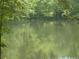Still pond reflecting trees creating a picturesque natural setting at 4221 Riverlake Way, Snellville, GA 30039