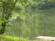 Serene view of a tranquil pond surrounded by lush green trees at 4221 Riverlake Way, Snellville, GA 30039
