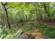 Serene backyard oasis with mature trees, mossy ground cover, and a stone path leading through the wooded area at 5049 Lake Ter, Marietta, GA 30068