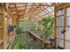 Bright greenhouse interior with growing beds and mature plants at 1005 Cromwell Cv, Snellville, GA 30078