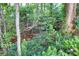 A peaceful creek nestled among lush greenery, ferns, and mature trees, creating a tranquil nature setting at 2980 Beards Rd, Buford, GA 30518