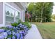 Beautiful curb appeal featuring colorful hydrangeas lining the walkway, leading to a charming craftsman-style home at 2980 Beards Rd, Buford, GA 30518