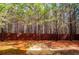 Private backyard with a wood fence, mature trees, and natural scenery at 2326 Bigwood Trl, Atlanta, GA 30349