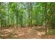 Wooded backyard with mature trees and a hammock creating a peaceful outdoor retreat at 124 Hunters Mill Rd, Woodstock, GA 30188