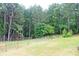 Green backyard with wooden fence and dense trees at 3129 Etchison Rd, Loganville, GA 30052