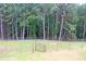 Large backyard area with trees and fencing at 3129 Etchison Rd, Loganville, GA 30052