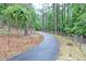 View of a paved driveway winding through a wooded area, bordered by trees, fencing and lush foliage at 3129 Etchison Rd, Loganville, GA 30052