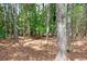 This property features a dense tree line offering privacy and a serene natural setting at 3129 Etchison Rd, Loganville, GA 30052