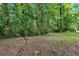 Spacious backyard with a mix of grass and natural areas, offering plenty of room to enjoy the outdoors at 4492 Riverwood Cir, Decatur, GA 30035
