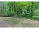 Backyard featuring mature trees and native plants offering a private natural setting at 4492 Riverwood Cir, Decatur, GA 30035