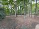 Private backyard featuring mature trees, natural landscaping and a quiet wooded setting at 3771 Club Nw Dr, Kennesaw, GA 30144