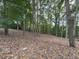 Secluded backyard with mature trees and natural landscaping at 3771 Club Nw Dr, Kennesaw, GA 30144