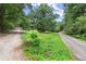 Grassy yard and natural landscape with home in the background, offering outdoor space at 129 Bill Smith Dr, Canton, GA 30114