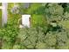 Aerial view of charming home surrounded by lush greenery and mature trees at 3080 Lynhurst Cir, Atlanta, GA 30311