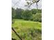 Large green field surrounded by lush trees and a weathered fence line at 7000 Petersburg Rd, Fairburn, GA 30213