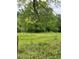 Lush, open pasture with abundant greenery and scattered trees, ideal for livestock or recreation at 7000 Petersburg Rd, Fairburn, GA 30213