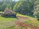 Landscaped yard featuring downed tree and mature trees creating a peaceful setting at 7000 Petersburg Rd, Fairburn, GA 30213
