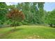 Lush backyard with mature trees and privacy fence at 326 Seldom Seen Trl, Canton, GA 30115