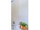 Close-up shot of a bathtub-shower combo with decorative plant on toilet at 4150 Glenn St, Powder Springs, GA 30127