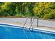A close-up view of the pool and pool ladder, offering an inviting spot for a refreshing swim surrounded by greenery at 4150 Glenn St, Powder Springs, GA 30127