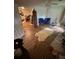 Living room features wood floors, a ceiling fan, and bright natural light at 2463 Stone Rd, East Point, GA 30344
