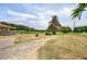 Expansive front yard featuring mature trees and open space at 668 Spring Place Ne Rd, White, GA 30184