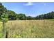Overgrown field with tall grasses, a wooded area in the background, and natural beauty at 668 Spring Place Ne Rd, White, GA 30184