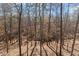 Scenic wooded backyard offering privacy and natural beauty, creating a peaceful outdoor retreat at 154 Hunters Trl, Dallas, GA 30157