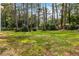 Lush backyard surrounded by mature trees and greenery, with lots of room for outdoor activities at 1554 Columbia Cir, Decatur, GA 30032