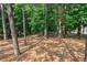 Wooded lot with mature trees and a natural setting at 1984 Mendenhall Cir, Atlanta, GA 30341
