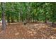 Wooded lot with mature trees and a stone path at 1984 Mendenhall Cir, Atlanta, GA 30341